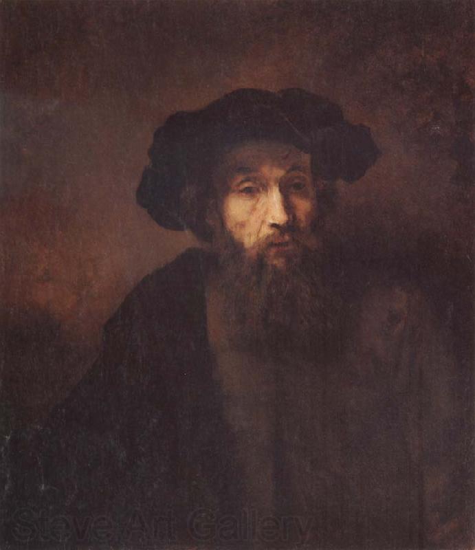 REMBRANDT Harmenszoon van Rijn A Bearded Man in a Cap Spain oil painting art